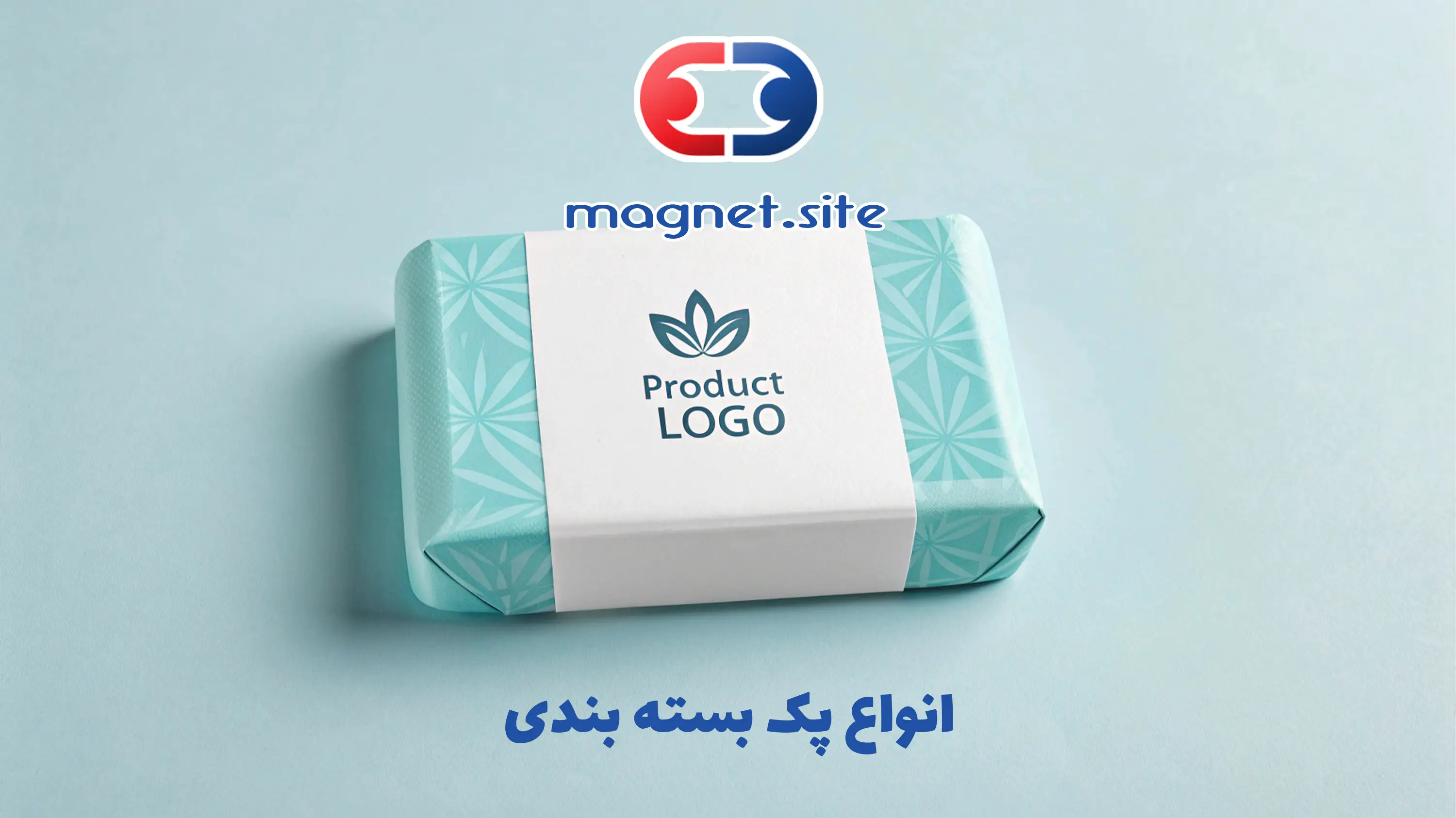 انواع پک بسته بندی